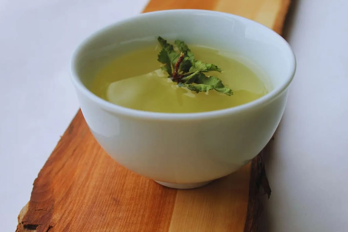 Nothofagus antárctica, conocido comúnmente como ñire