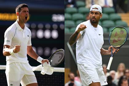 Novak Djokovic ganó 20 Grand Slam y Nick Kyrgios jugará su primera final: enemigos íntimos...amigados