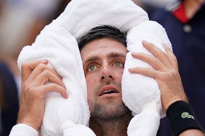 Djokovic necesita refrescar su mente