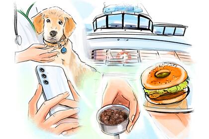 Novedosos servicios y tiendas continúan sumándose a la propuesta de Club LA NACION para enriquecer aún más la experiencia del socio.