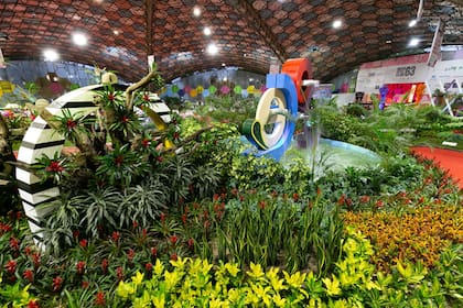 Noventa empresas florícolas participan de la 63ª Fiesta Nacional de la Flor