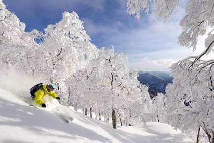 Nozawa Onsen, Japón