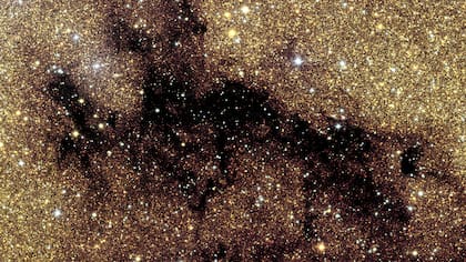 Nube molecular oscura que bloquea la luz de estrellas de fondo en el bulbo galáctico, captada en detalle por Euclid