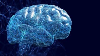 Nuestro cerebro es, por naturaleza, muy plástico