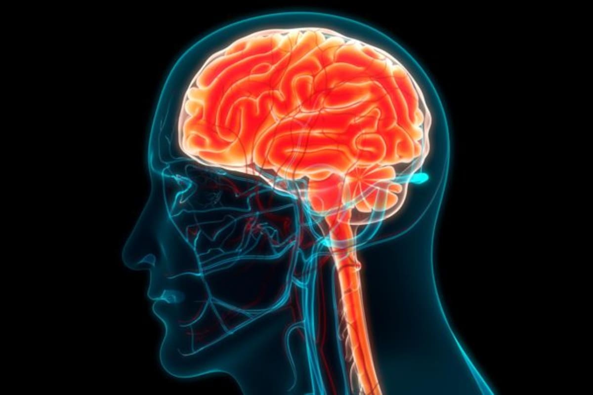 Nuestro cerebro tiene más poder que el que requieren las tareas cotidianas.