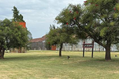 "Nuestro municipio decide hacer también un esfuerzo y avanzar con la eliminación de los derechos de oficina vinculados al DUT (guías ganaderas)", anunció Guillermo Legorburu en la red X.