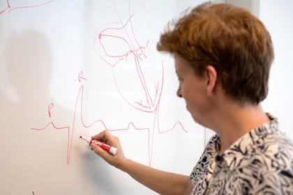 “Nuestros resultados muestran que el nodo sinusal tiene un rol activo y determinante", explica la investigadora Isabel Irurzun