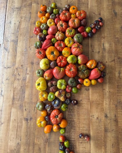 “Nuestros tomates se cosechan uno a uno y se meten en bandejas uno a uno, no puede estar uno arriba del otro”, describe Kunis.