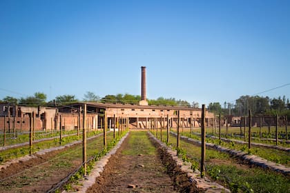 Nueva Corinema funciona en las ruinas de una antigua fábrica de ladrillos