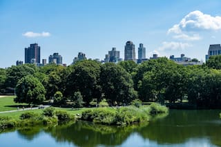Nueva York demanda a empresas de redes sociales por la adicción de menores