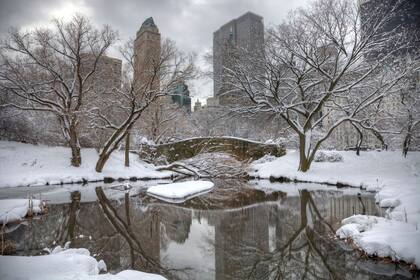 Nueva York, una ciudad acostumbrada a los inviernos duros, enfrenta un desafío que pone a prueba la resistencia de sus habitantes (Foto Canva)
