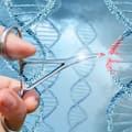 Por primera vez, científicos editan con precisión genes de embriones humanos