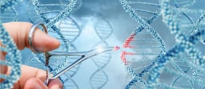 Por primera vez, científicos editan con precisión genes de embriones humanos