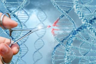 Por primera vez, científicos editan con precisión genes de embriones humanos
