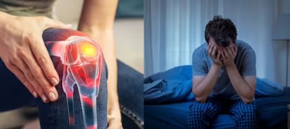 Nuevas terapias en desarrollo apuntan a regenerar cartílago y hueso para evitar o postergar cirugías de reemplazo de rodilla