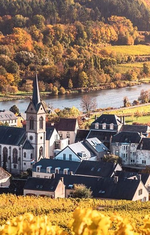 Nueve de cada 10 empresas registradas en el Gran Ducado de Luxemburgo son propiedad de no residentes