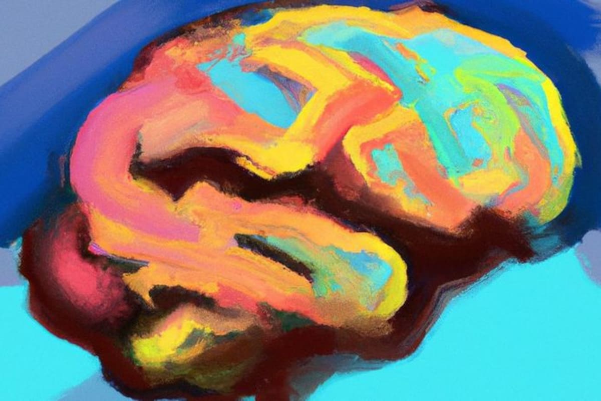 Nuevo estudio sobre el cerebro