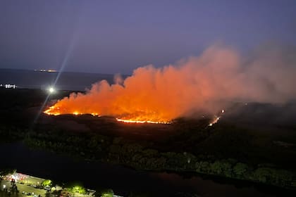 Nuevo foco de incendio en la Reserva Ecológica de Costanera Sur