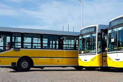 Nuevo paro de colectivos complica a la ciudad de Córdoba