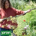 Los siete errores que podés cometer en el jardín cuando creés que ya pasó el frío