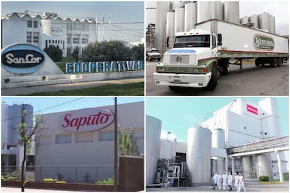Nuevos dueños, cierres y firmas históricas que desaparecieron: así quedó el nuevo mapa de la industria láctea argentina.