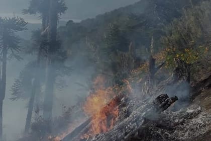 Nuevos focos de incendio en el Parque Nacional Lanín por una tormenta eléctrica