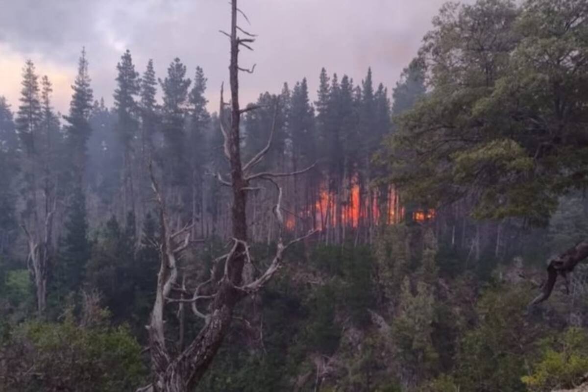 Nuevos incendios en la provincia de Chubut