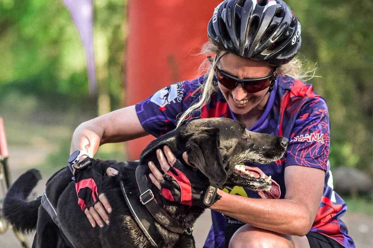"Nunca subestimes lo que un perro callejero puede hacer por vos".
