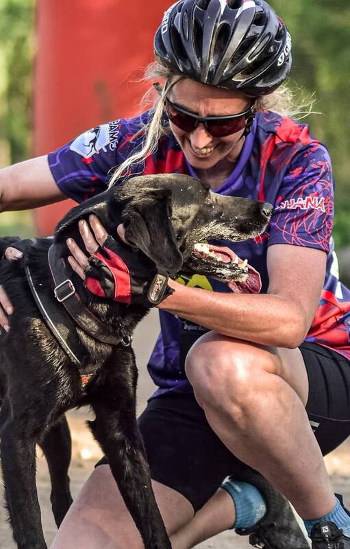 "Nunca subestimes lo que un perro callejero puede hacer por vos".