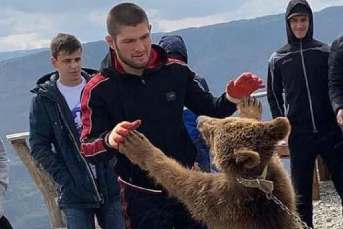 Nurmagomedov envuelto en un escándalo por maltrato animal