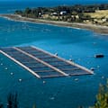 Chile le compró a una pyme argentina un importante subproducto para hacer un alimento para salmones