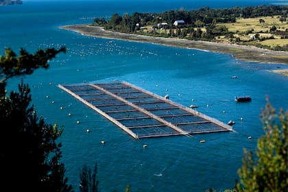 (NYT53) NEAR PUERTO MONTT, Chile -- March 26, 2008 -- CHILE-SALMON-VIRUS-4 --Salmon pens in the Gulf of Reloncavi, near Puerto Montt, Chile, March 2008. Crowded pens are blamed for water pollution and potentially unhealthy fish. (Joao Pina/The New York Times)