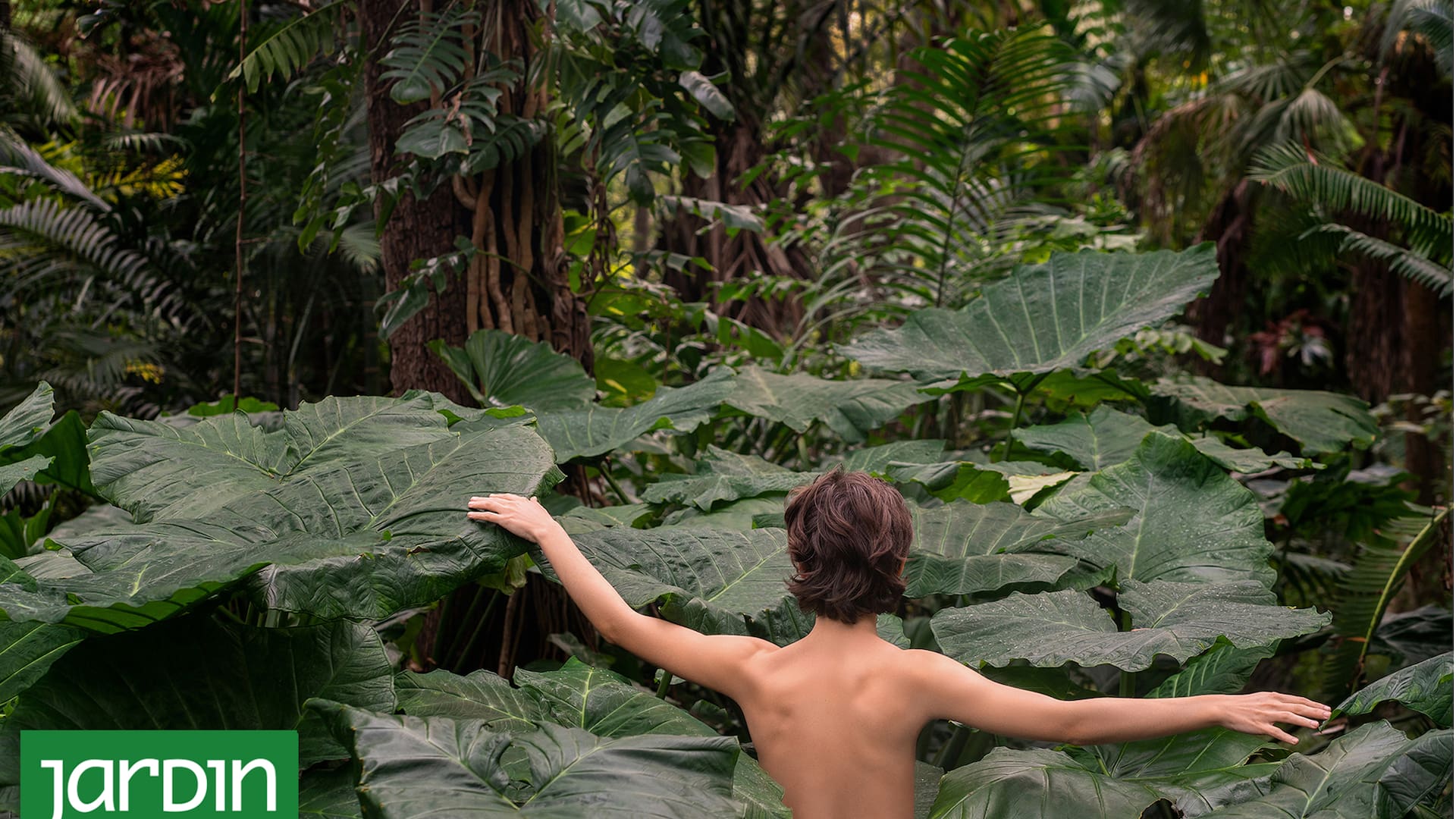 Oasis, de Claudia Cebrián