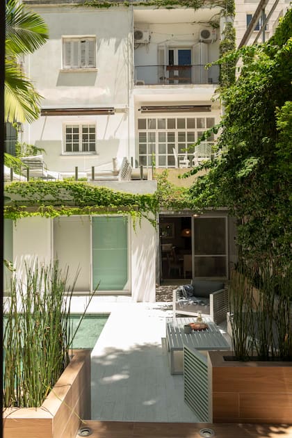 Oasis en la ciudad: la vista del patio deja ver el edificio detrás.