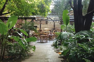 Oasis para descubrir en medio de la ciudad