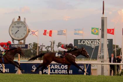 Obataye dejó segundo a The Gladiator's Hat en el Gran Premio Carlos Pellegrini (G1), en San Isidro