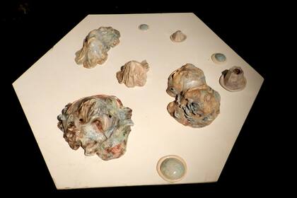 Obra de Bárbara De Lellis