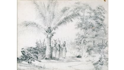 Obra de Camille Pisarro en Americas Society