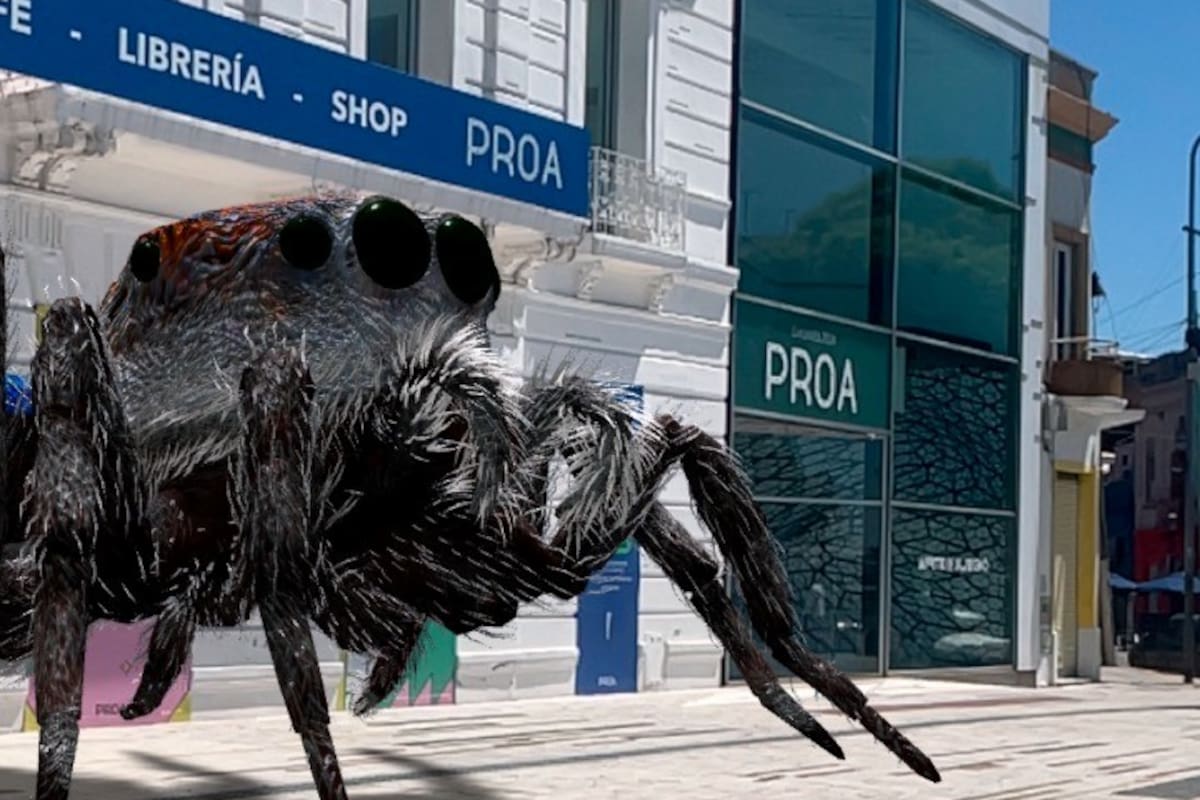 Obra de la serie Webs of Life de Tomás Saraceno, producida por Acute Art, en la vereda de Fundación Proa