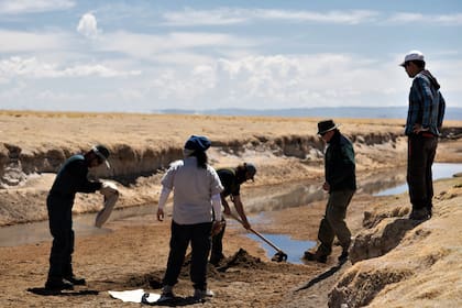 Obras de restauración en Laguna de los Pozuelos