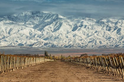 Observar la cordillera es uno de los placeres que ofrece Mendoza.