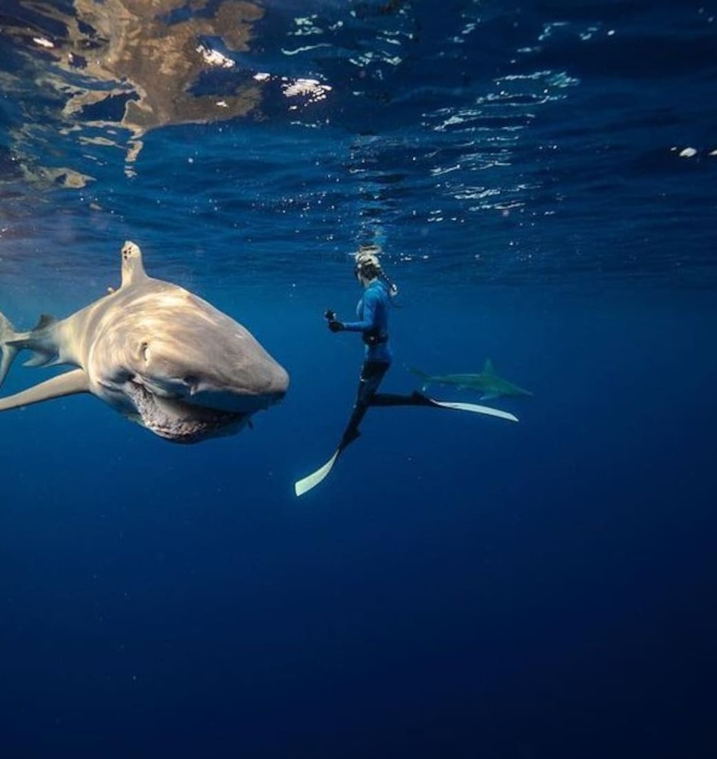 Ocean Ramsey sumergida junto a un tiburón