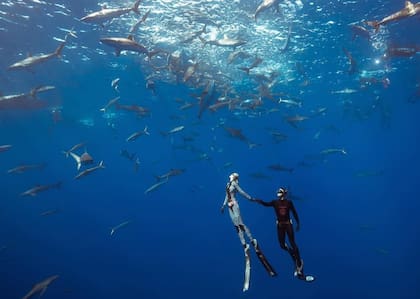 Ocean Ramsey y Juan Oliphant comenzaron a trabajar juntos en 2006; compartiendo una pasión por el océano, se casaron en 2019 y la ceremonia se presidió en el mar, rodeados de escualos
