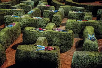 Ocho mil metros cuadrados de cerco vivo, deleite de chicos