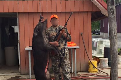 Octavio Laje, de 20 años es hijo de un diplomático primo de Martín Lousteau y cómplice de Dante Casermeiro, hijo de Federica Pais