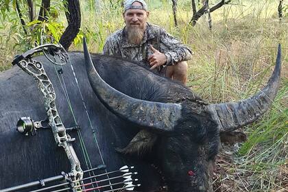 Ocurrió en Australia, cuando Chris McSherry creyó que el animal ya estaba muerto, este se levantó y lo atacó con su cornamenta, lastimandole gravemente la pierna