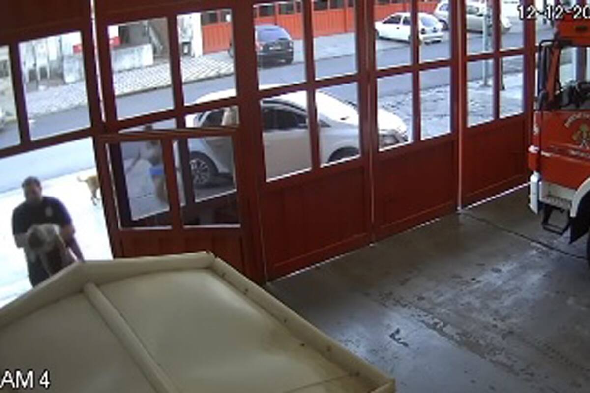 Ocurrió en Lomas de Zamora y el municipio lo contó en sus redes sociales