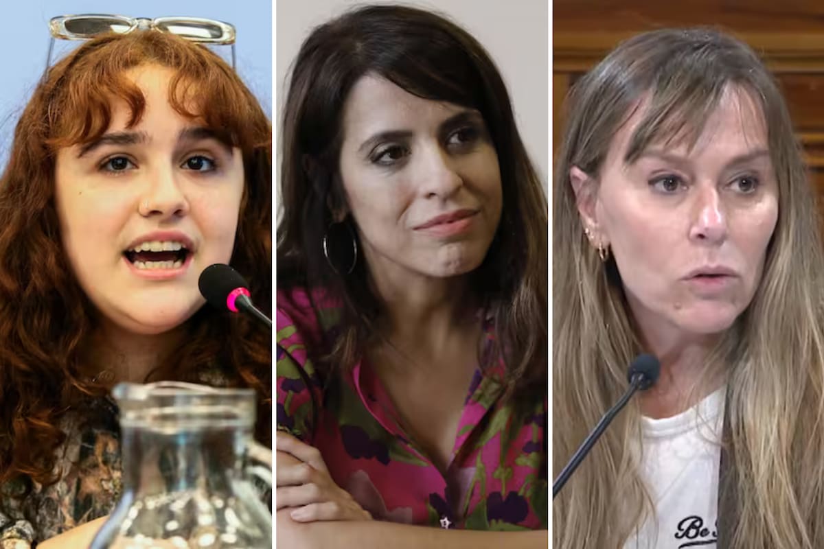 Ofelia Fernández, Victoria Donda y Juliana Di Tullio