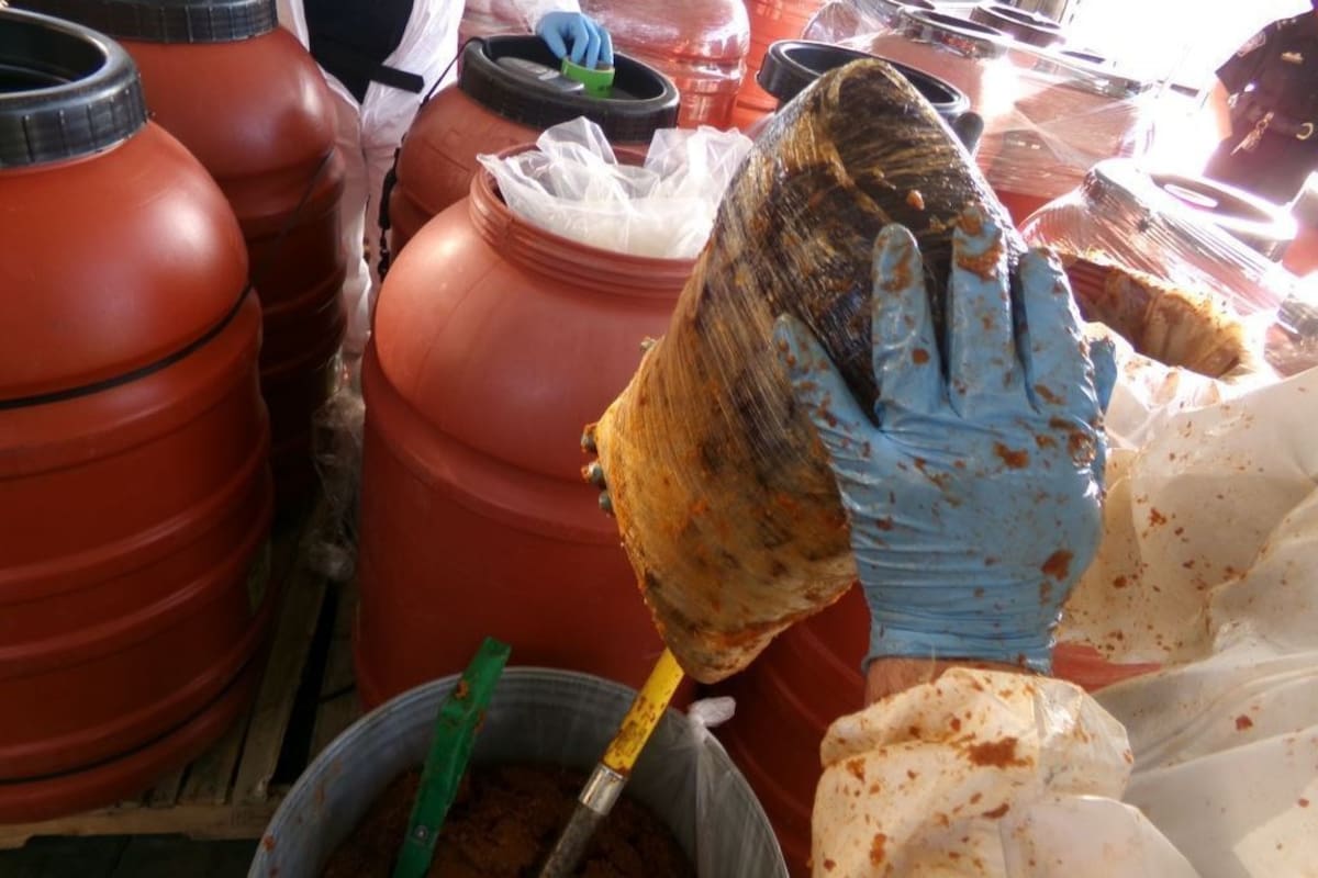 Oficiales de Aduanas y Protección Fronteriza de EE.UU. descubrieron más de US$10 millones en narcóticos