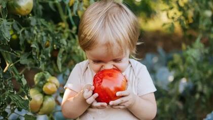 Ofrecer verduras a los niños antes que otros alimentos puede aumentar la probabilidad de que las coman